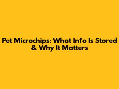 Pet Microchips: What Info Is Stored & Why It Matters