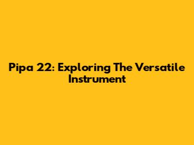Pipa 22: Exploring The Versatile Instrument