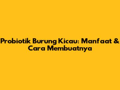 Probiotik Burung Kicau: Manfaat & Cara Membuatnya