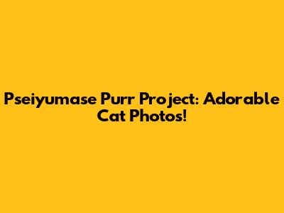 Pseiyumase Purr Project: Adorable Cat Photos!