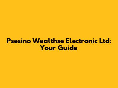 Psesino Wealthse Electronic Ltd: Your Guide