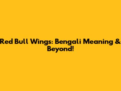 Red Bull Wings: Bengali Meaning & Beyond!