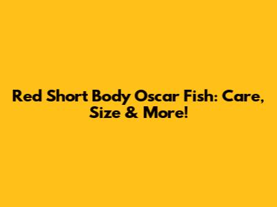 Red Short Body Oscar Fish: Care, Size & More!