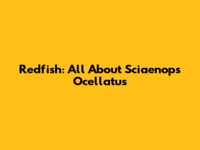 Redfish: All About Sciaenops Ocellatus