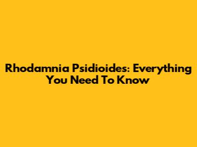 Rhodamnia Psidioides: Everything You Need To Know