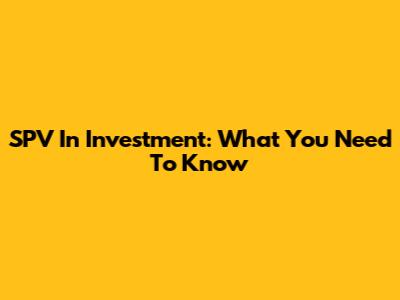 SPV In Investment: What You Need To Know