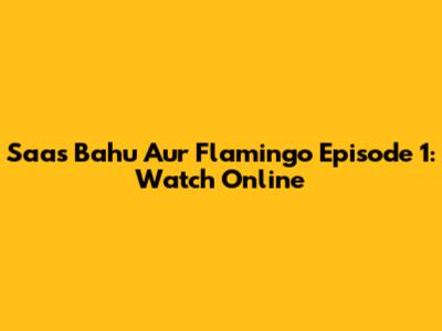 Saas Bahu Aur Flamingo Episode 1: Watch Online