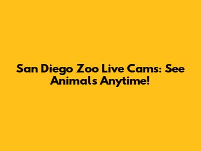 San Diego Zoo Live Cams: See Animals Anytime!