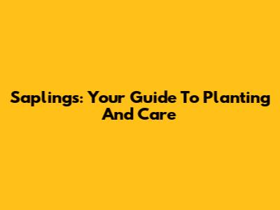 Saplings: Your Guide To Planting And Care