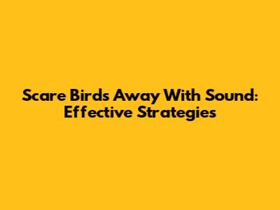 Scare Birds Away With Sound: Effective Strategies