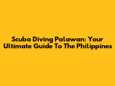 Scuba Diving Palawan: Your Ultimate Guide To The Philippines