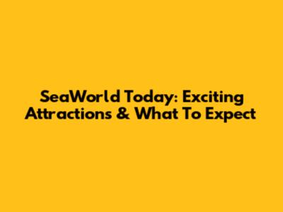 SeaWorld Today: Exciting Attractions & What To Expect