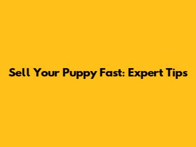 Sell Your Puppy Fast: Expert Tips