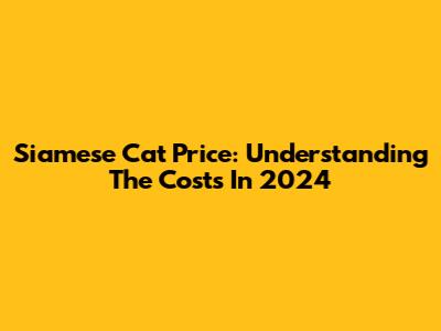 Siamese Cat Price: Understanding The Costs In 2024