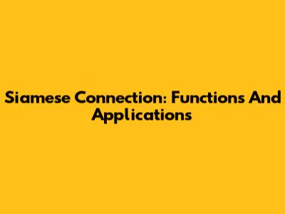 Siamese Connection: Functions And Applications