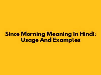 Since Morning Meaning In Hindi: Usage And Examples