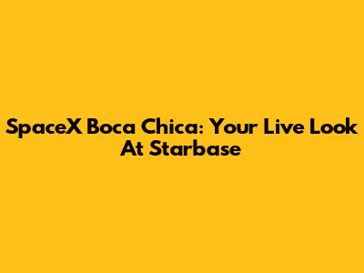 SpaceX Boca Chica: Your Live Look At Starbase
