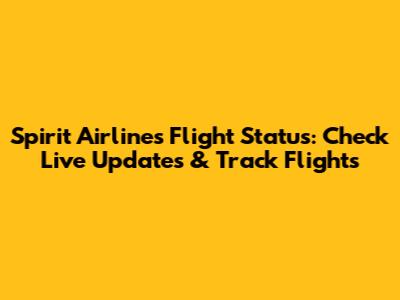 Spirit Airlines Flight Status: Check Live Updates & Track Flights