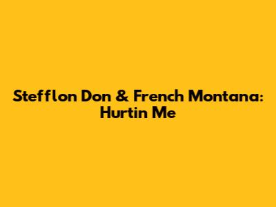 Stefflon Don & French Montana: Hurtin Me