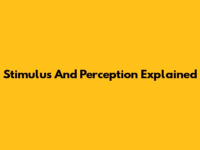 Stimulus And Perception Explained