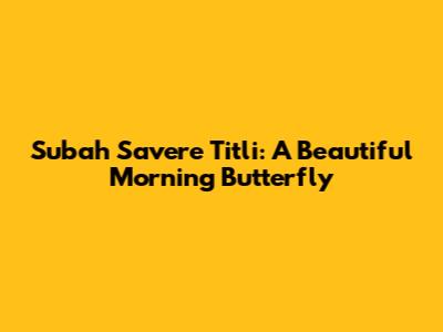 Subah Savere Titli: A Beautiful Morning Butterfly
