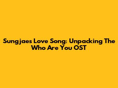 Sungjae's Love Song: Unpacking The 'Who Are You' OST