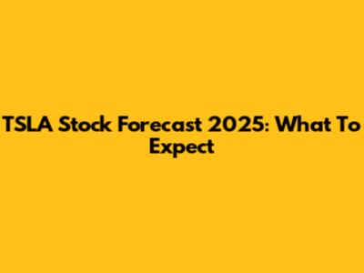 TSLA Stock Forecast 2025: What To Expect