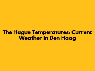 The Hague Temperatures: Current Weather In Den Haag