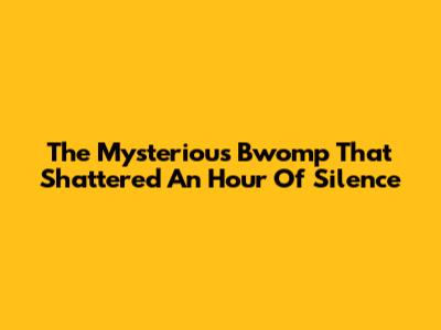 The Mysterious 'Bwomp' That Shattered An Hour Of Silence