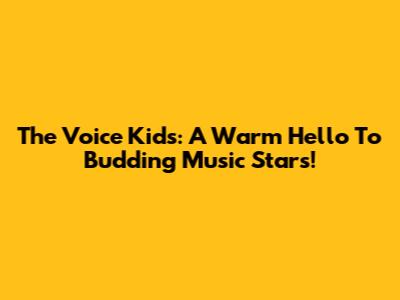 The Voice Kids: A Warm Hello To Budding Music Stars!
