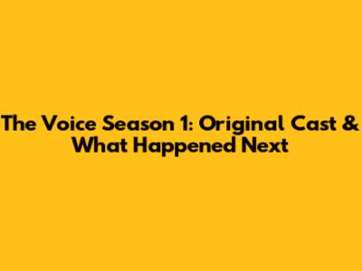 The Voice Season 1: Original Cast & What Happened Next