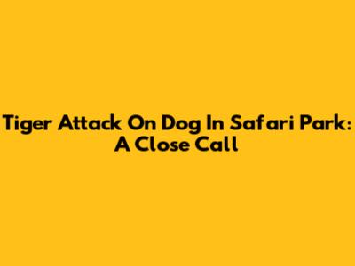 Tiger Attack On Dog In Safari Park: A Close Call