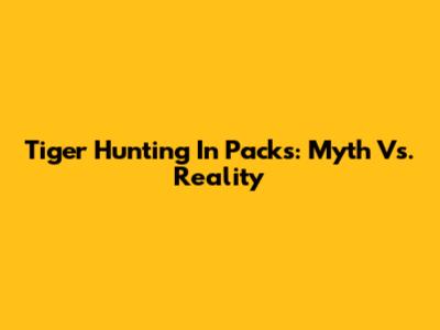 Tiger Hunting In Packs: Myth Vs. Reality