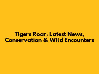 Tigers Roar: Latest News, Conservation & Wild Encounters