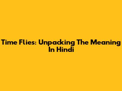 Time Flies: Unpacking The Meaning In Hindi