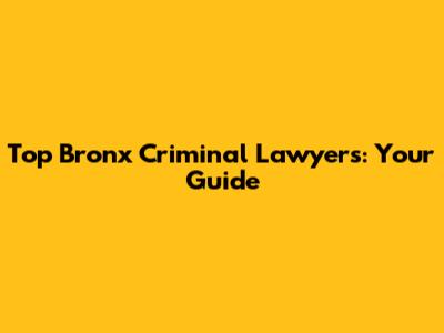 Top Bronx Criminal Lawyers: Your Guide