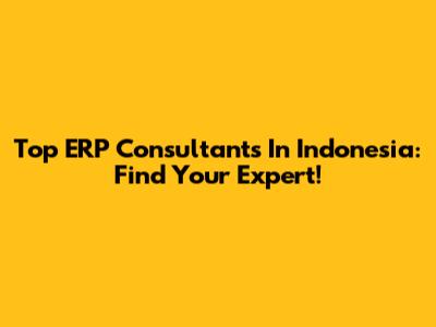Top ERP Consultants In Indonesia: Find Your Expert!