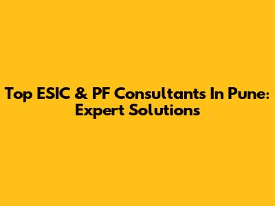 Top ESIC & PF Consultants In Pune: Expert Solutions