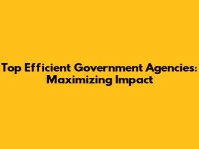 Top Efficient Government Agencies: Maximizing Impact