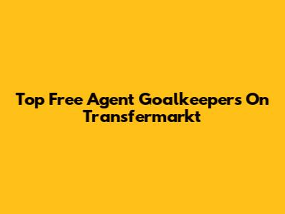 Top Free Agent Goalkeepers On Transfermarkt