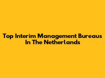 Top Interim Management Bureaus In The Netherlands