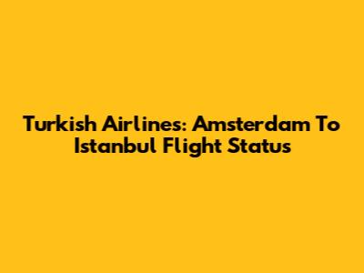 Turkish Airlines: Amsterdam To Istanbul Flight Status