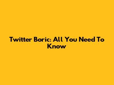 Twitter Boric: All You Need To Know