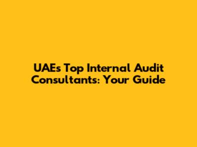 UAE's Top Internal Audit Consultants: Your Guide