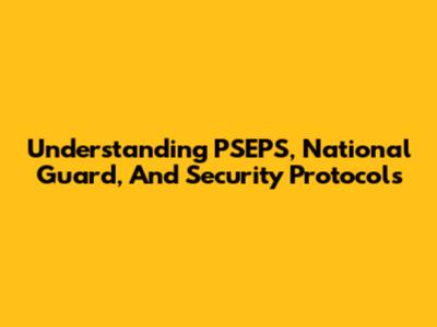 Understanding PSEPS, National Guard, And Security Protocols