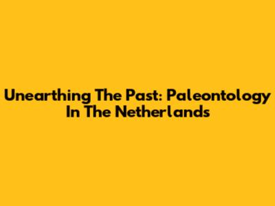 Unearthing The Past: Paleontology In The Netherlands
