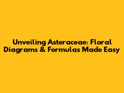 Unveiling Asteraceae: Floral Diagrams & Formulas Made Easy