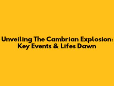 Unveiling The Cambrian Explosion: Key Events & Life's Dawn