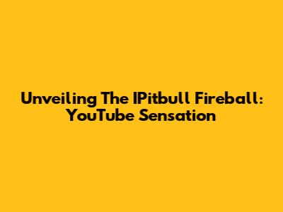Unveiling The IPitbull Fireball: YouTube Sensation