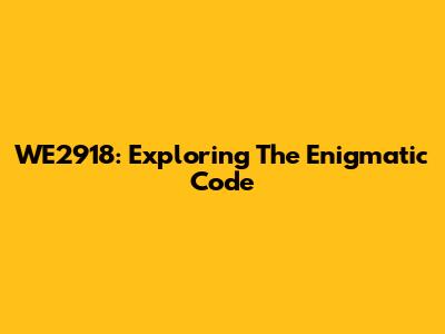WE2918: Exploring The Enigmatic Code